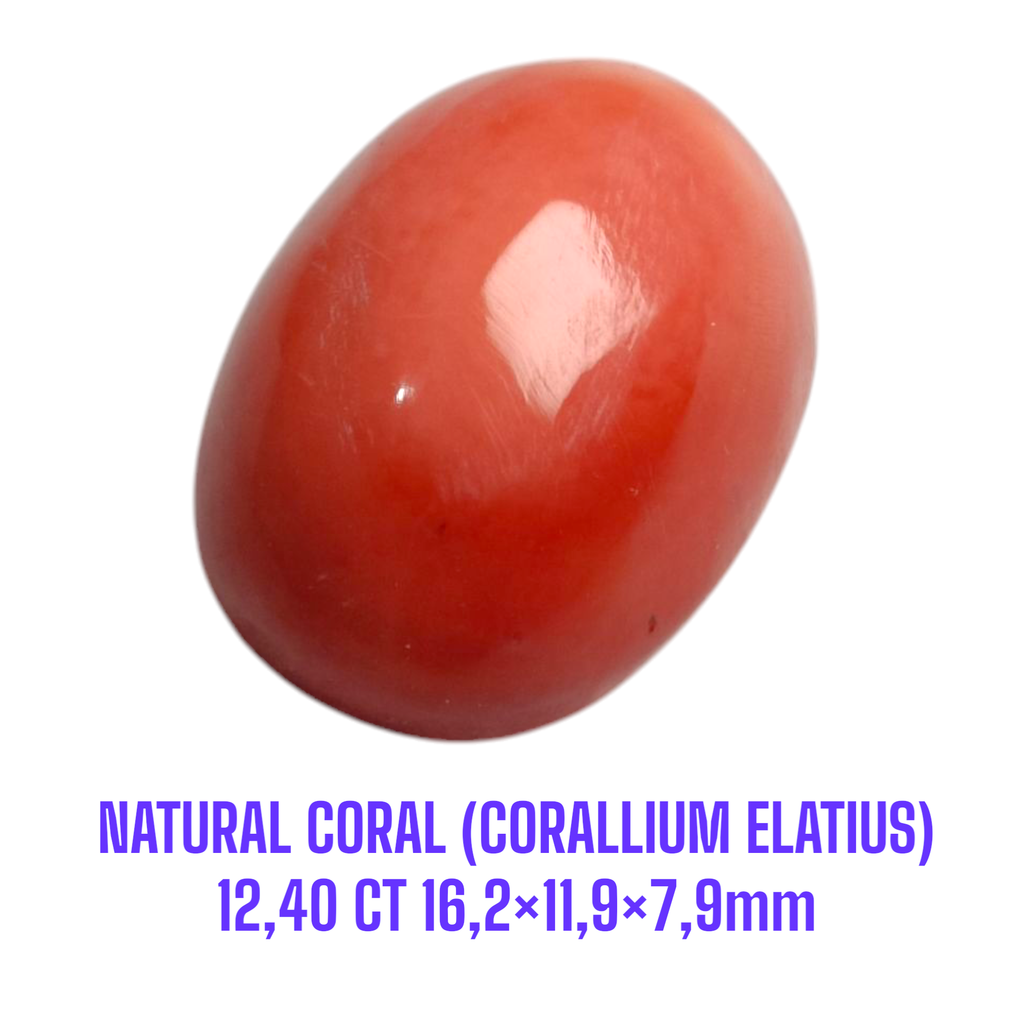 LOOSESTONE NATURAL CORAL MARJAN (CORALLIUM ELATIUS) 12,40 ct 16,2×11,9×7,9mm - Gambar 3