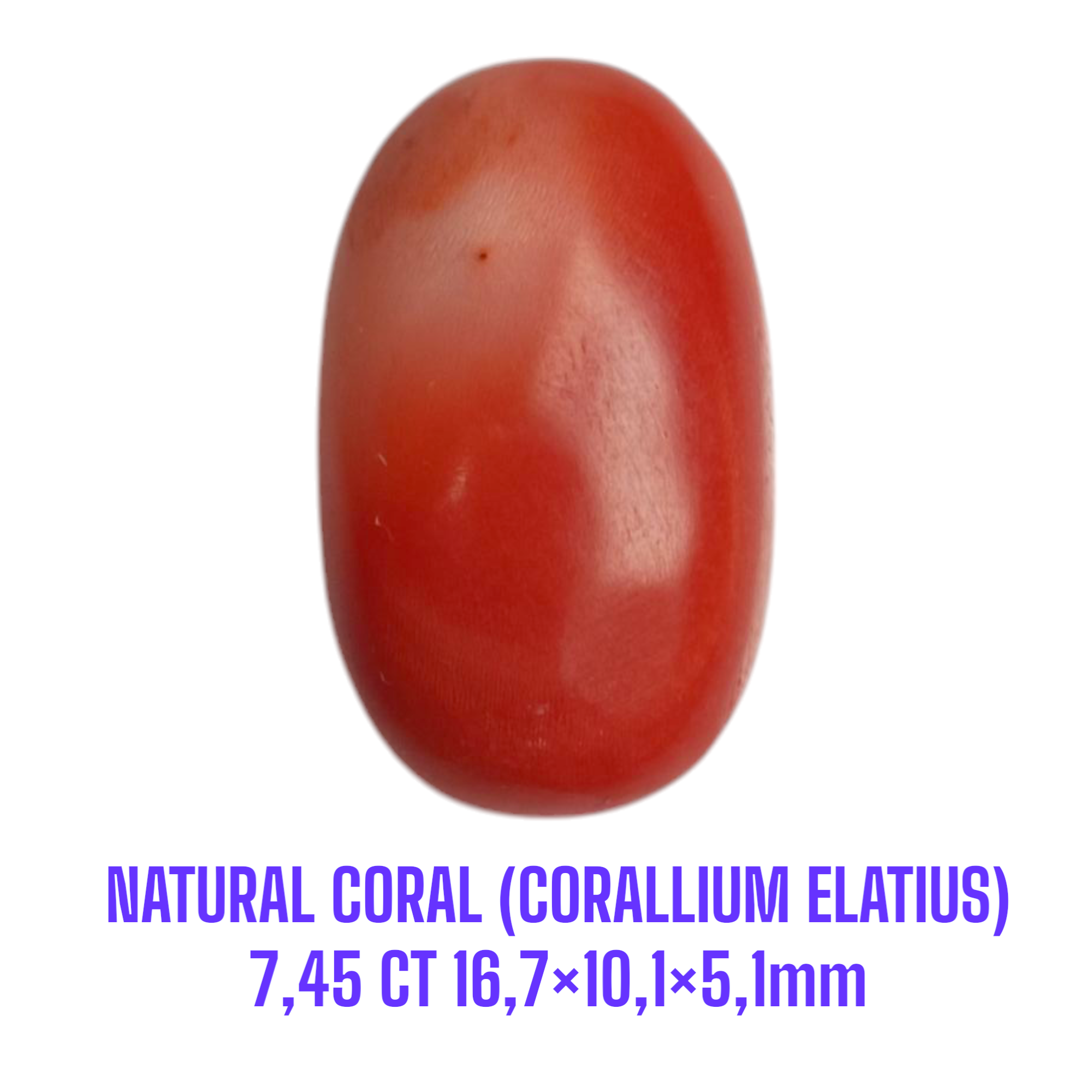 LOOSESTONE NATURAL CORAL MARJAN (CORALLIUM ELATIUS) 7,45 ct 16,7×10,1×5,1mm