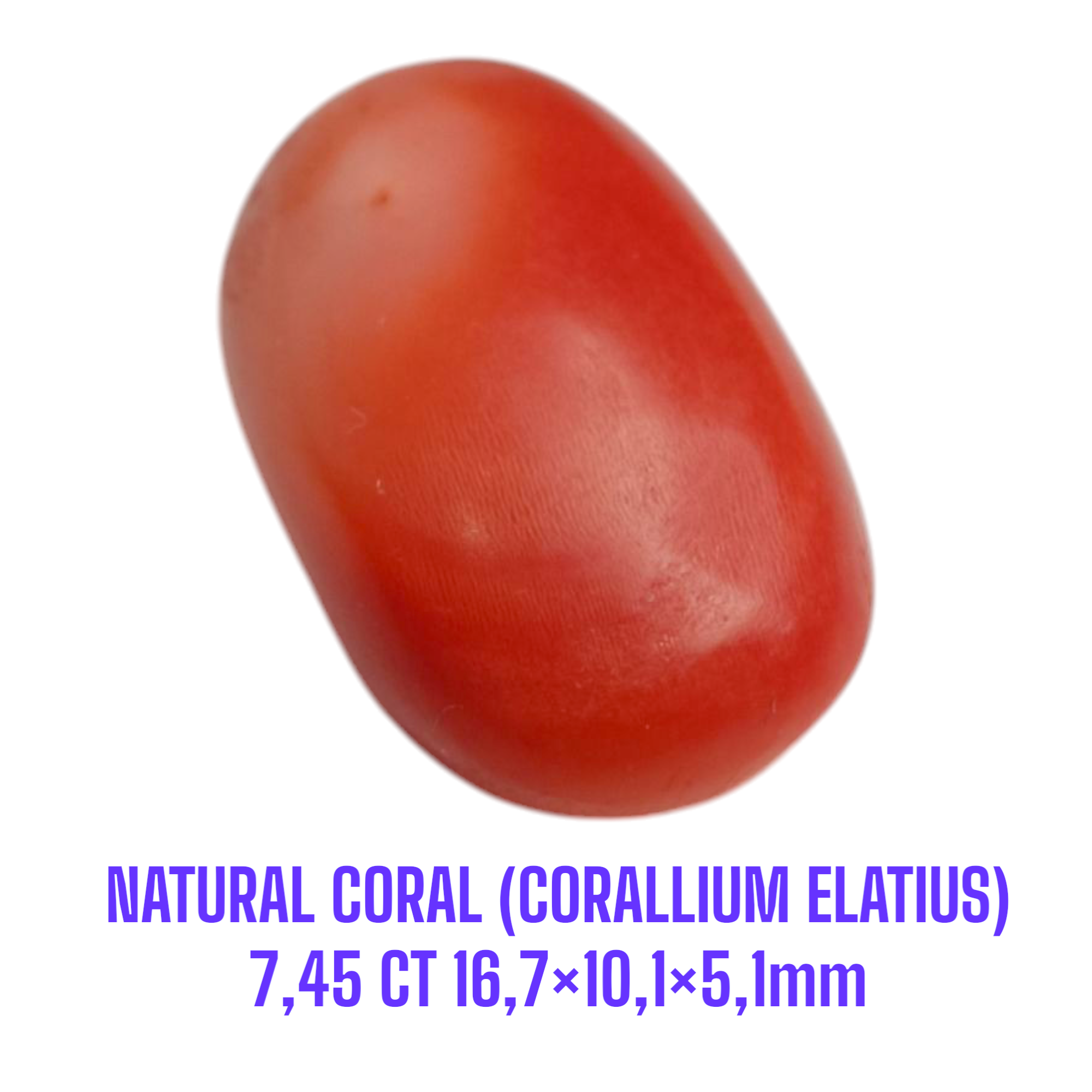 LOOSESTONE NATURAL CORAL MARJAN (CORALLIUM ELATIUS) 7,45 ct 16,7×10,1×5,1mm - Gambar 3