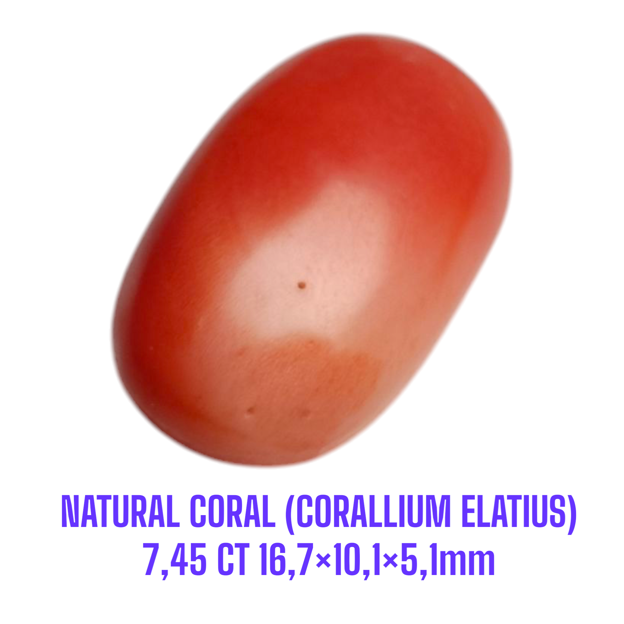 LOOSESTONE NATURAL CORAL MARJAN (CORALLIUM ELATIUS) 7,45 ct 16,7×10,1×5,1mm - Gambar 2