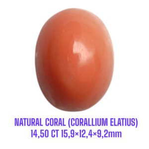 LOOSESTONE NATURAL CORAL MARJAN (CORALLIUM ELATIUS) 14,50 ct 15,9×12,4×9,2mm