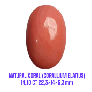 LOOSESTONE NATURAL CORAL MARJAN (CORALLIUM ELATIUS) 14,10 ct 22,3×14×5,3mm