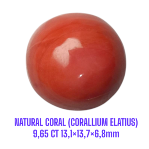 LOOSESTONE NATURAL CORAL MARJAN (CORALLIUM ELATIUS) 9,65 ct 13,1×13,7×6,8mm
