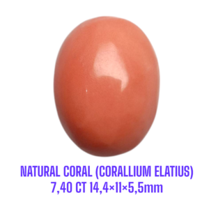 LOOSESTONE NATURAL CORAL MARJAN (CORALLIUM ELATIUS) 7,40 ct 14,4×11×5,5mm