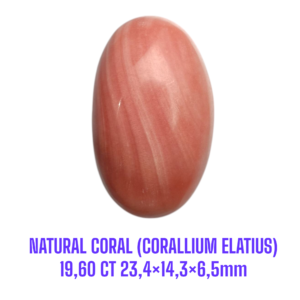 LOOSESTONE NATURAL CORAL MARJAN (CORALLIUM ELATIUS) 19,60 ct 23,4×14,3×6,5mm