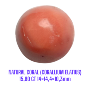 LOOSESTONE NATURAL CORAL MARJAN (CORALLIUM ELATIUS) 15,60 ct 14×14,4×10,3mm