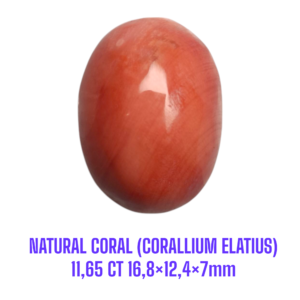 LOOSESTONE NATURAL CORAL MARJAN (CORALLIUM ELATIUS) 11,65 ct 16,8×12,4×7mm