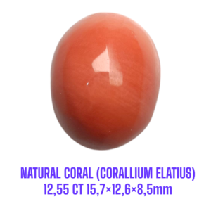LOOSESTONE NATURAL CORAL MARJAN (CORALLIUM ELATIUS) 12,55 ct 15,7×12,6×8,5mm
