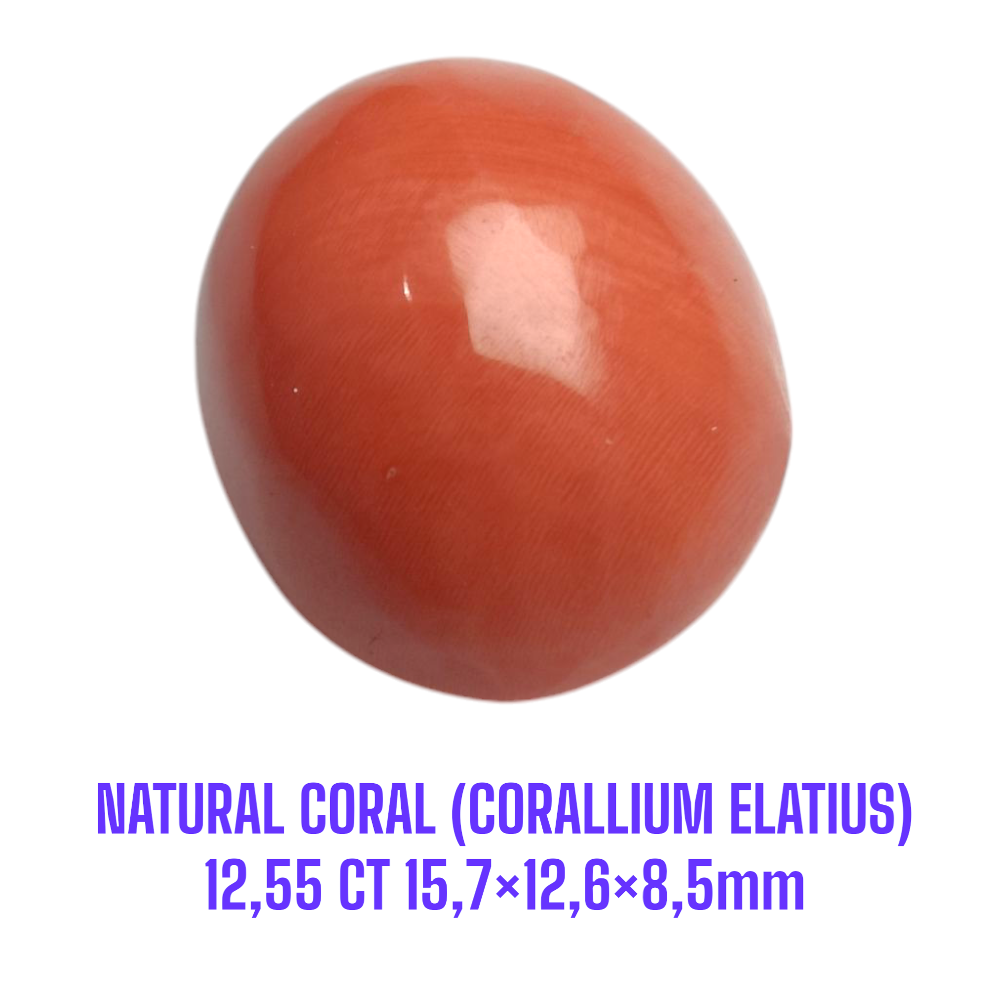 LOOSESTONE NATURAL CORAL MARJAN (CORALLIUM ELATIUS) 12,55 ct 15,7×12,6×8,5mm - Gambar 3