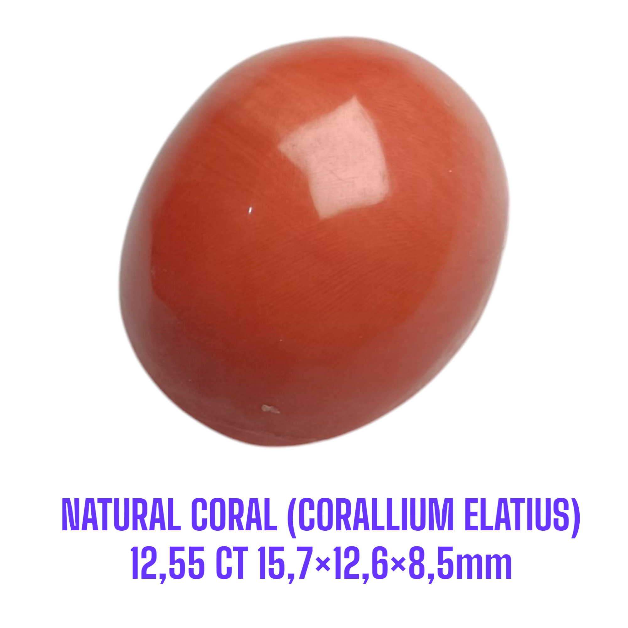 LOOSESTONE NATURAL CORAL MARJAN (CORALLIUM ELATIUS) 12,55 ct 15,7×12,6×8,5mm - Gambar 2
