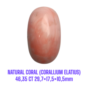 LOOSESTONE NATURAL CORAL MARJAN (CORALLIUM ELATIUS) 46,35 ct 29,7×17,5×10,5mm