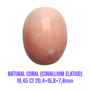 LOOSESTONE NATURAL CORAL MARJAN (CORALLIUM ELATIUS) 19,45 ct 20,4×15,8×7,8mm