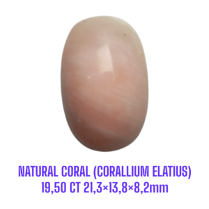 LOOSESTONE NATURAL CORAL MARJAN (CORALLIUM ELATIUS) 19,50 ct 21,3×13,8×8,2mm