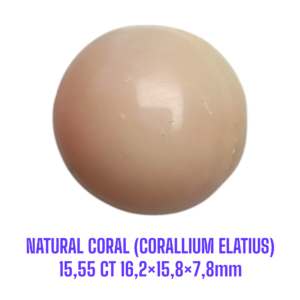 LOOSESTONE NATURAL CORAL MARJAN (CORALLIUM ELATIUS) 15,55 ct 16,2×15,8×7,8mm