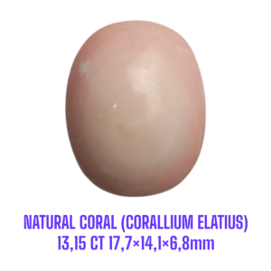 LOOSESTONE NATURAL CORAL MARJAN (CORALLIUM ELATIUS) 13,15 ct 17,7×14,1×6,8mm