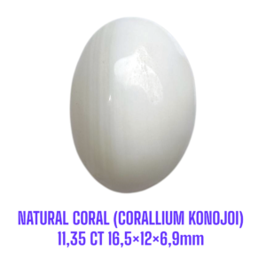 LOOSESTONE NATURAL CORAL MARJAN (CORALLIUM KONOJOI) 11,35 ct 16,5×12×6,9mm