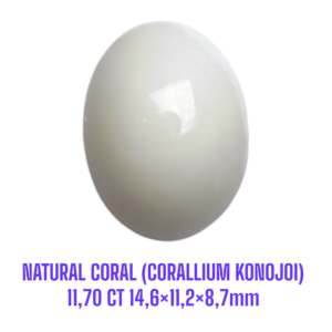LOOSESTONE NATURAL CORAL MARJAN (CORALLIUM KONOJOI) 11,70 ct 14,6×11,2×8,7mm