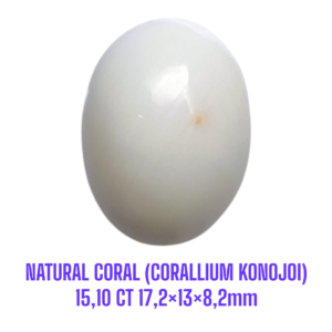 LOOSESTONE NATURAL CORAL MARJAN (CORALLIUM KONOJOI) 15,10 ct 17,2×13×8,2mm
