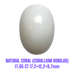 LOOSESTONE NATURAL CORAL MARJAN (CORALLIUM KONOJOI) 17,65 ct 17,2×12,2×9,7mm