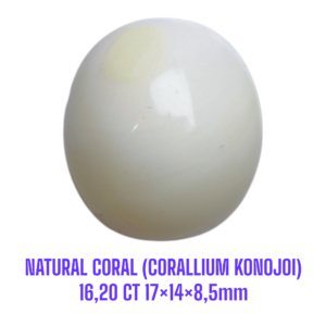 LOOSESTONE NATURAL CORAL MARJAN (CORALLIUM KONOJOI) 16,20 ct 17×14×8,5mm