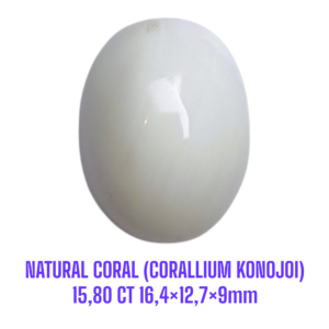 LOOSESTONE NATURAL CORAL MARJAN (CORALLIUM KONOJOI) 15,80 ct 16,4×12,7×9mm