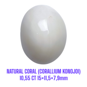 LOOSESTONE NATURAL CORAL MARJAN (CORALLIUM KONOJOI) 10,55 ct 15×11,5×7,9mm