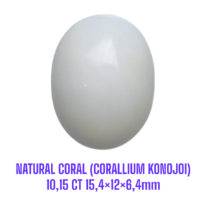LOOSESTONE NATURAL CORAL MARJAN (CORALLIUM KONOJOI) 10,15 ct 15,4×12×6,4mm