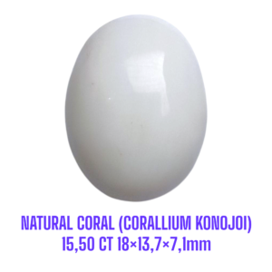 LOOSESTONE NATURAL CORAL MARJAN (CORALLIUM KONOJOI) 15,50 ct 18×13,7×7,1mm