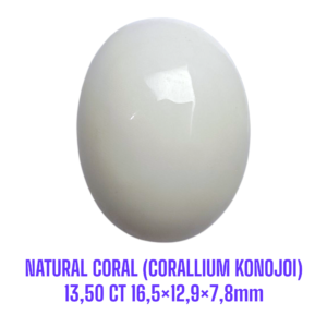 LOOSESTONE NATURAL CORAL MARJAN (CORALLIUM KONOJOI) 13,50 ct 16,5×12,9×7,8mm