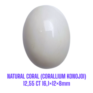 LOOSESTONE NATURAL CORAL MARJAN (CORALLIUM KONOJOI) 12,55 ct 16,1×12×8mm