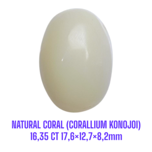 LOOSESTONE NATURAL CORAL MARJAN (CORALLIUM KONOJOI) 16,35 ct 17,6×12,7×8,7mm