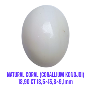 LOOSESTONE NATURAL CORAL MARJAN (CORALLIUM KONOJOI) 18,90 ct 18,5×13,8×9,1mm
