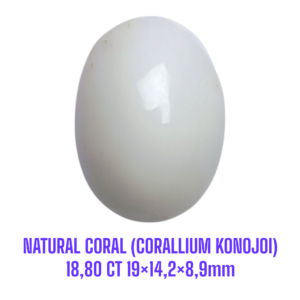 LOOSESTONE NATURAL CORAL MARJAN (CORALLIUM KONOJOI) 18,80 ct 19×14,2×8,9mm