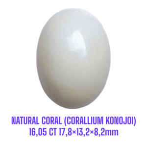 LOOSESTONE NATURAL CORAL MARJAN (CORALLIUM KONOJOI) 16,05 ct 17,8×13,2×8,2mm