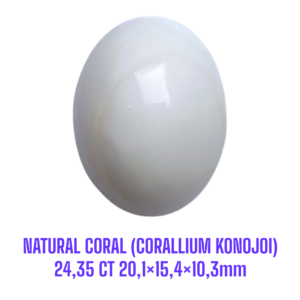 LOOSESTONE NATURAL CORAL MARJAN (CORALLIUM KONOJOI) 24,35 ct 20,1×15,4×10,3mm