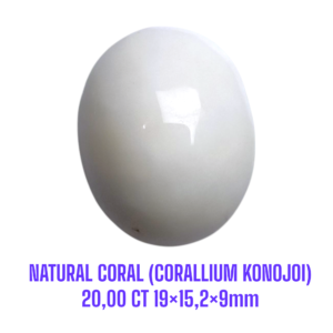 LOOSESTONE NATURAL CORAL MARJAN (CORALLIUM KONOJOI) 20,00 ct 19×15,2×9mm
