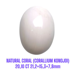 LOOSESTONE NATURAL CORAL MARJAN (CORALLIUM KONOJOI) 20,10 ct 21,2×15,3×7,8mm