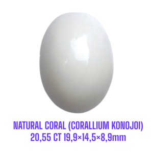 LOOSESTONE NATURAL CORAL MARJAN (CORALLIUM KONOJOI) 20,55 ct 19,9×14,5×8,9mm