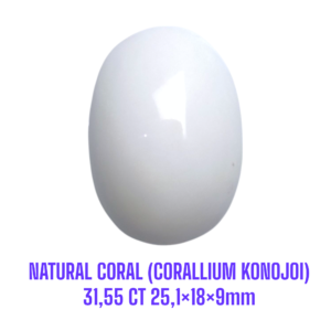 LOOSESTONE NATURAL CORAL MARJAN (CORALLIUM KONOJOI) 31,55 ct 25,1×18×9mm