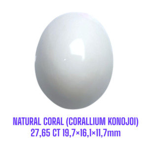 LOOSESTONE NATURAL CORAL MARJAN (CORALLIUM KONOJOI) 27,65 ct 19,7×16,1×11,7mm