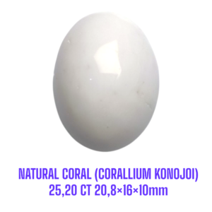 LOOSESTONE NATURAL CORAL MARJAN (CORALLIUM KONOJOI) 25,20 ct 20,8×16×10mm