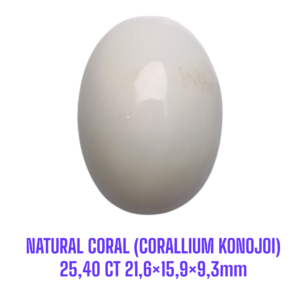 LOOSESTONE NATURAL CORAL MARJAN (CORALLIUM KONOJOI) 25,40 ct 21,6×15,9×9,3mm