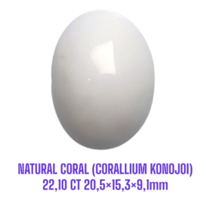 LOOSESTONE NATURAL CORAL MARJAN (CORALLIUM KONOJOI) 22,10 ct 20,5×15,3×9,1mm