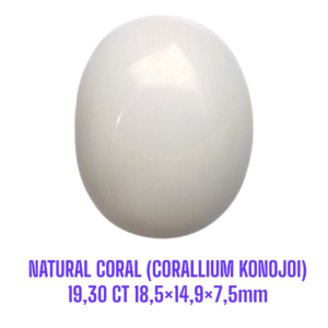 LOOSESTONE NATURAL CORAL MARJAN (CORALLIUM KONOJOI) 19,30 ct 18,5×14,9×7,5mm