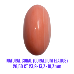 LOOSESTONE NATURAL CORAL MARJAN (CORALLIUM ELATIUS) 26,50 ct 23,9×13,3×10,3mm