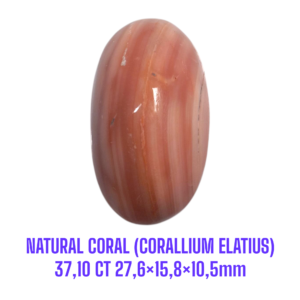 LOOSESTONE NATURAL CORAL MARJAN (CORALLIUM ELATIUS) 37,10 ct 27,6×15,8×10,5mm