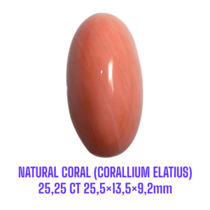 LOOSESTONE NATURAL CORAL MARJAN (CORALLIUM ELATIUS) 25,25 ct 25,5×13,5×9,2mm