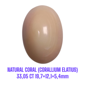 LOOSESTONE NATURAL CORAL MARJAN (CORALLIUM ELATIUS) 33,05 ct 19,7×12,1×5,4mm