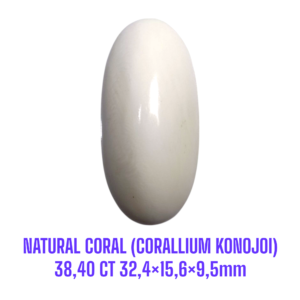 LOOSESTONE NATURAL CORAL MARJAN (CORALLIUM KONOJOI) 38,40 ct 32,4×15,6×9,5mm