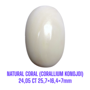 LOOSESTONE NATURAL CORAL MARJAN (CORALLIUM KONOJOI) 24,05 ct 25,7×16,4×7mm
